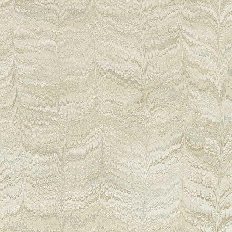 Jaipur Plain