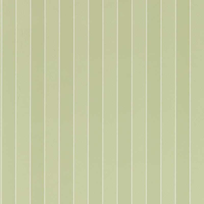 Semper Stripe