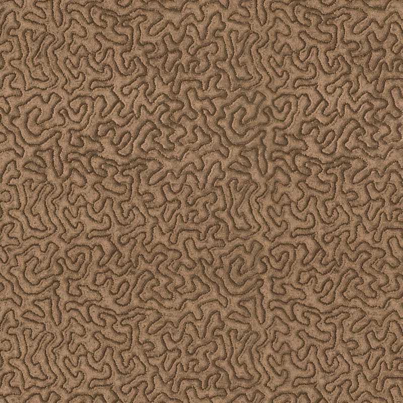 Maze