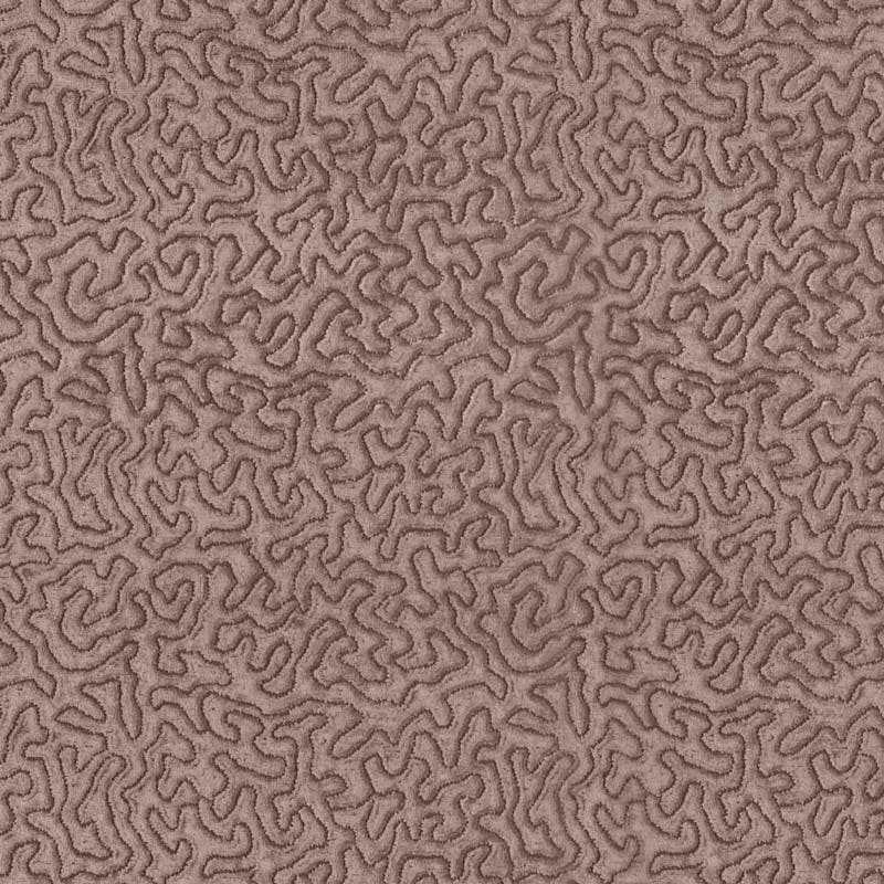 Maze