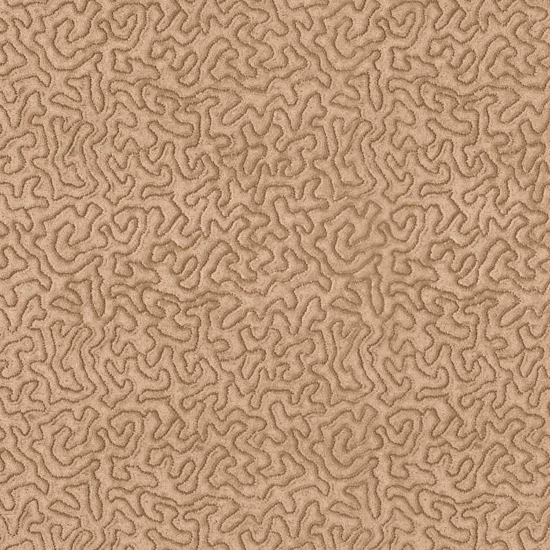 Maze